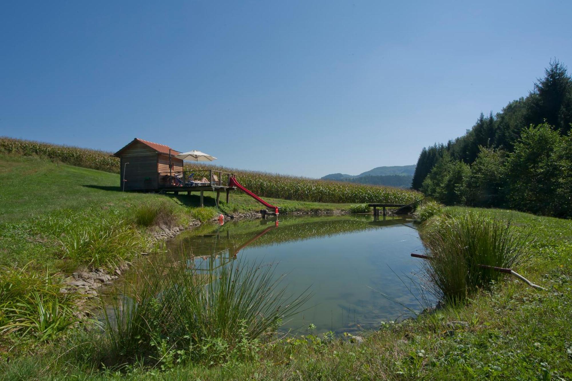 Weingut Winzerhof Gaestezimmer Grebenz Großklein Kültér fotó